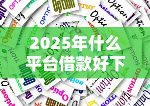 2025年什么平台借款好下款快点：公布五个被执行人下款口子