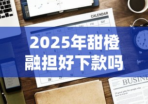 2025年甜橙融担好下款吗，推荐5个无退休金65岁老人贷款平台