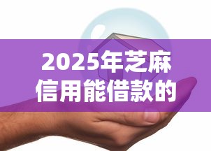 2025年芝麻信用能借款的平台？分享五个不看征信容易贷款的平台