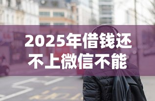 2025年借钱还不上微信不能用？罗列五个全部秒拒还有啥口子