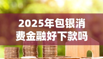 2025年包银消费金融好下款吗安全吗：整理5个网络贷款平台哪家好