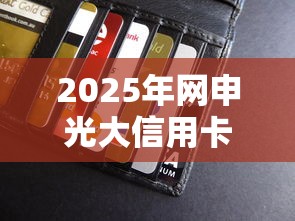 2025年网申光大信用卡被拒，推荐5个靠谱的贷款平台排行榜