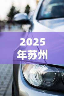 2025年苏州不看征信车抵贷款，推荐5个最新黑口子秒过的