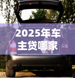 2025年车主贷哪家好下款快点？推荐5个2025放水的贷款口子