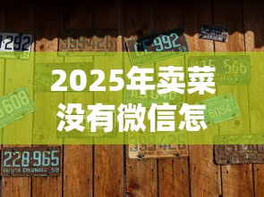 2025年卖菜没有微信怎么借钱呢，整理五个无退休金65岁老人贷款平台