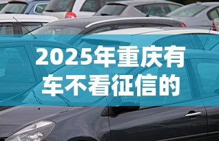 2025年重庆有车不看征信的贷款，看看这5个黑户贷款口子秒下的
