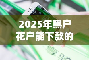 2025年黑户花户能下款的平台36期，推荐五个金融创新秒下不要芝麻分的软件