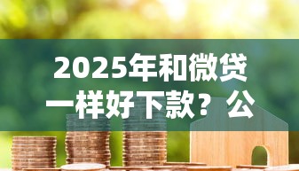 2025年和微贷一样好下款？公布5个银行贷款咨询平台