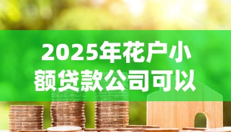2025年花户小额贷款公司可以贷款吗：梳理五个平台最容易贷款