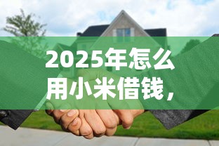 2025年怎么用小米借钱，看看这五个失信被执行人可以贷款的平台