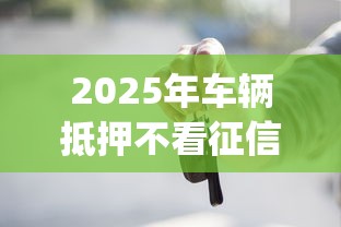 2025年车辆抵押不看征信的贷款，梳理五个失信人员可以借钱的网贷app