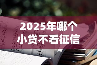 2025年哪个小贷不看征信的：公布五个网贷平台排名不分先后