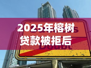2025年榕树贷款被拒后：整合5个小额借款平台正规利息低