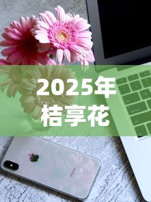 2025年桔享花好下款吗,公布5个正规苹果id贷口子