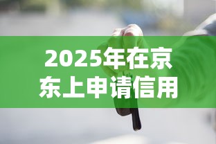 2025年在京东上申请信用卡被拒？梳理五个按揭车贷款平台