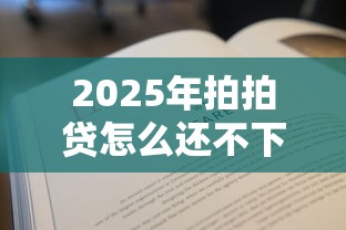 2025年拍拍贷怎么还不下款，看看这5个助贷公司黑户口子有什么