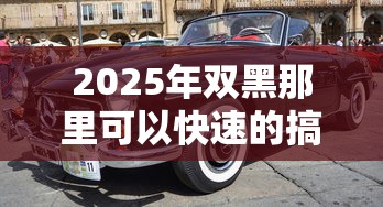 2025年双黑那里可以快速的搞到5000块钱，整合五个好口子