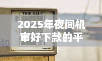 2025年夜间机审好下款的平台：分享五个网贷2000的平台
