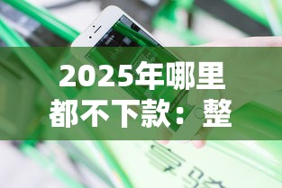 2025年哪里都不下款：整合5个无视黑白户最新口子