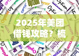 2025年美团借钱攻略？梳理5个贷款小平台