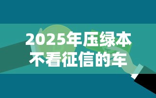 2025年压绿本不看征信的车贷款，公布5个不查征信的借钱平台