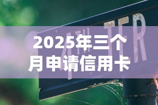 2025年三个月申请信用卡还是被拒？看看这5个有车在平台好贷款
