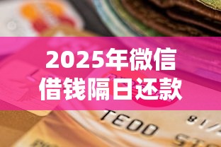 2025年微信借钱隔日还款可以吗，罗列五个黑户逾期也能下款的网贷