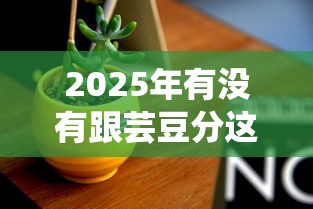 2025年有没有跟芸豆分这样的平台呢：看看这5个评分不足征信花可以借的平台
