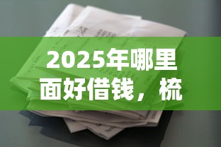 2025年哪里面好借钱，梳理五个类似葫芦花借款的平台