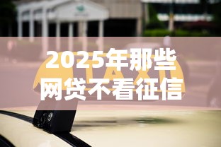 2025年那些网贷不看征信秒过的？罗列五个个人贷款平台