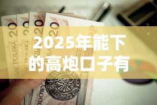 2025年能下的高炮口子有哪些？梳理5个贷款平台不看征信,不看负债