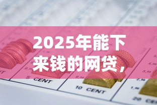 2025年能下来钱的网贷，整理五个微贷网是什么网贷平台