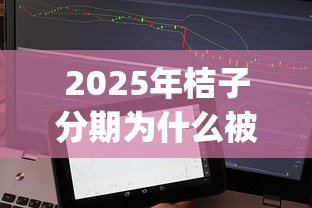 2025年桔子分期为什么被拒，整理5个不上征信的贷款app