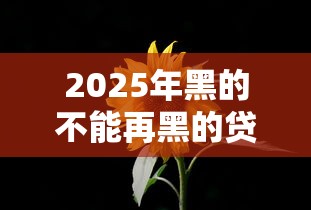 2025年黑的不能再黑的贷款：看看这5个2025大花户放水秒下款的口子