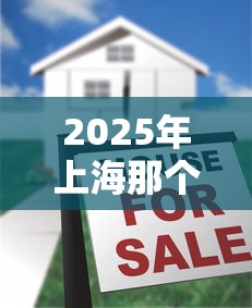 2025年上海那个小贷款好下款，看看这5个马上花是借款平台贷款