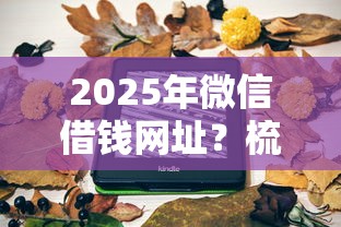2025年微信借钱网址？梳理5个夜间秒下款的14天口子