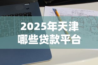 2025年天津哪些贷款平台好下款：罗列5个网贷大数据查询平台