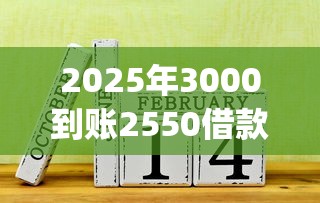 2025年3000到账2550借款30天app下载：整理5个好借的网贷平台