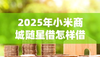2025年小米商城随星借怎样借钱？看看这5个高额贷款平台