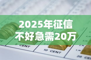 2025年征信不好急需20万块钱怎么办：推荐5个好点的网贷平台