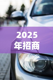 2025年招商车贷被拒没写原因：看看这5个36期贷款平台