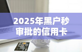 2025年黑户秒审批的信用卡能用吗：公布五个黑户能下款的借款平台