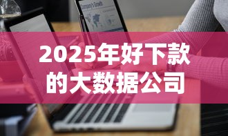 2025年好下款的大数据公司排名，分享五个不用征信放款平台