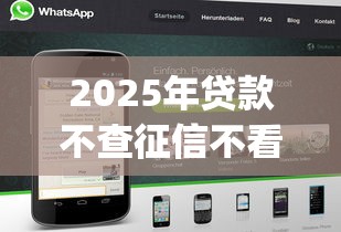 2025年贷款不查征信不看网黑？看看这5个轻松贷10万的app