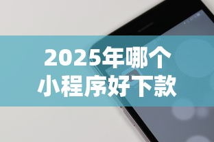 2025年哪个小程序好下款快一点，整理5个网络借钱平台好