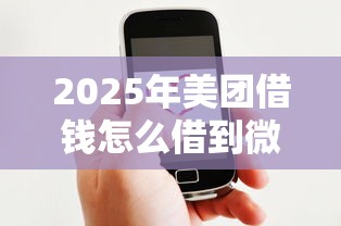 2025年美团借钱怎么借到微信：看看这五个平台好贷款