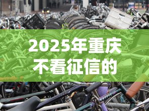 2025年重庆不看征信的汽车贷款？梳理五个有没有好的贷款平台