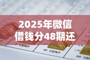 2025年微信借钱分48期还款，推荐5个正规网贷平台排名不分先后