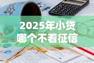 2025年小贷哪个不看征信：分享5个老赖必下口子