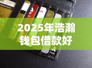 2025年浩瀚钱包借款好下款吗：整理5个分期贷款平台好